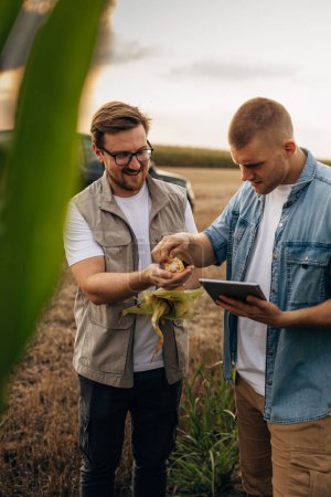 Photo for One man is holding corn and the other one picks the grain from it. - Royalty Free Image