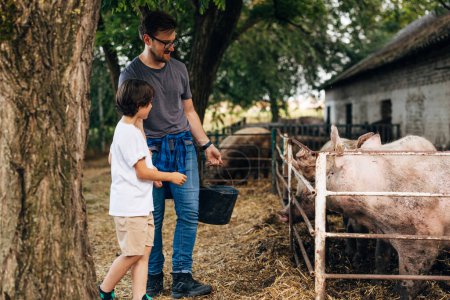 Téléchargez les photos : Père et fils vivent dans une ferme et nourrissent les porcs ensemble. - en image libre de droit