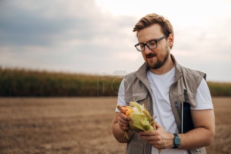 Téléchargez les photos : Le fermier regarde le maïs dans le champ. - en image libre de droit
