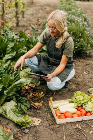 Photo for Young blond woman using a laptop in the vegetable garden. - Royalty Free Image