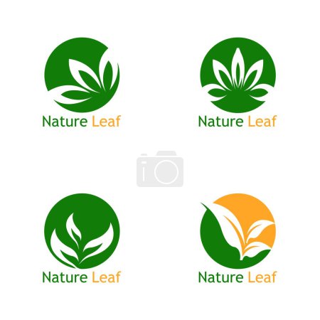 Illustration for Green Leaf Nature Plant Conceptual Symbol Vector Illustration - Royalty Free Image