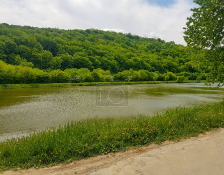 Photo for Lake in the forest - Royalty Free Image