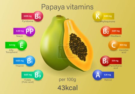 Die gesundheitlichen Vorteile von Papaya. Vektorillustration mit nützlichen Fakten zur Ernährung. Lebensnotwendige Vitamine, Energiewert. Medizin-, Wellness- und Ernährungskonzept.