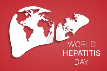  Vector illustration on the theme of World Hepatitis Day on July 28. Using a background template for vector postcard design, with a minimalistic and modern concept, cover, background, international