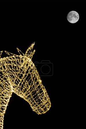 Foto de El caballo bajo la luz de la luna - espectáculo de luz moderna - Imagen libre de derechos