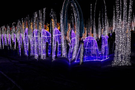 Foto de Brillante hielo brillante en colores - espectáculo de luz moderna - Imagen libre de derechos