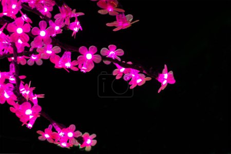 Foto de Flores rosadas brillan en la noche - espectáculo de luz moderna - Imagen libre de derechos