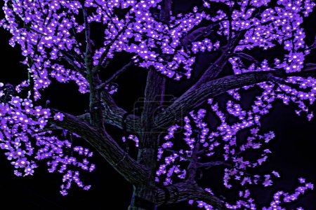Foto de Árbol iluminado con flores púrpuras - espectáculo de luz moderna - Imagen libre de derechos