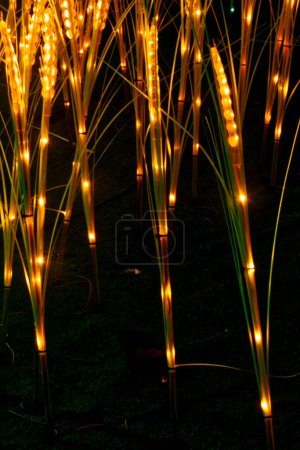 Foto de Solo maíz iluminado artificialmente - espectáculo de luz moderna - Imagen libre de derechos