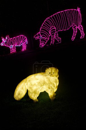 Foto de Animales de granja que se iluminan - espectáculo de luz moderna - Imagen libre de derechos