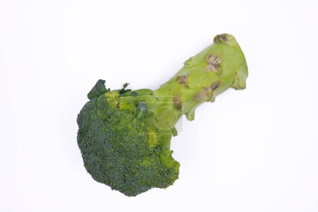 Téléchargez les photos : Fresh broccoli on white background photographed from above - en image libre de droit