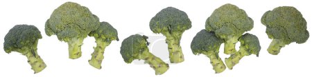 Photo for Fresh broccoli on white background photographed from above - Royalty Free Image