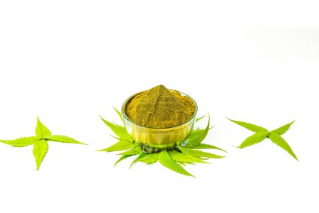 Téléchargez les photos : Azadirachta indica neem leaves isolated on white background - en image libre de droit
