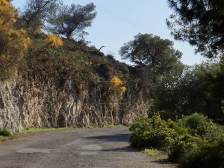 caminando por la carretera de montaña de Granada Andalucía