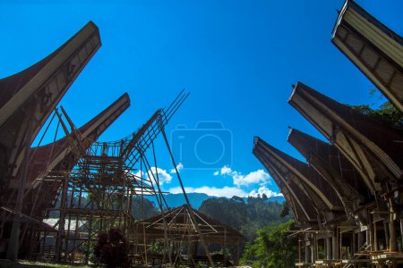 Foto de Construyendo un tongkonan para un funeral en Sulawesi, Indonesia - Imagen libre de derechos