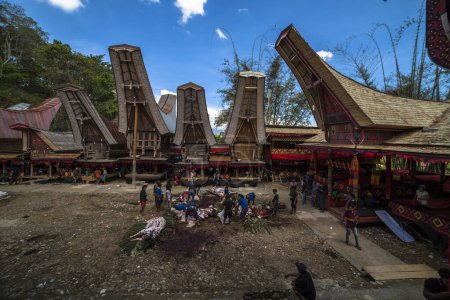 Foto de TANA TORAJA, SULAWESI, INDONESIA - 26 de noviembre: Ceremonia funeraria el 26 de noviembre de 2016 en Tana Toraja, Sulawesi, Indonesia - Imagen libre de derechos