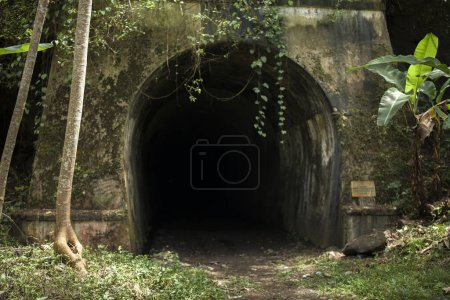 Photo for The former underground tunnel in the forest - Royalty Free Image