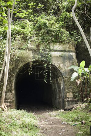 Photo for The former railway tunnel in the forest, pangandaran Indonesia - Royalty Free Image