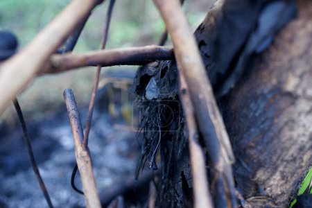 Nahaufnahme von Waldbränden auf Sumatra Indonesien
