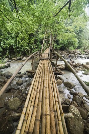 bridge made of bamboo in the middle of the forest