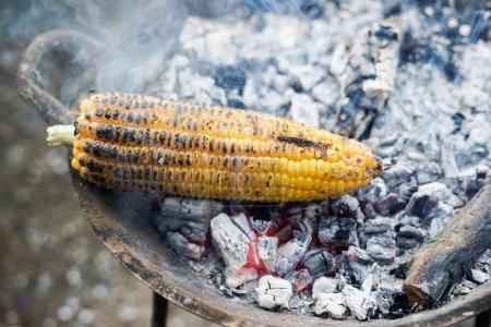 Jagung Bakar.Closeup Burning corn using charcoal