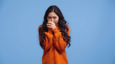 brünette und junge asiatische Frau im Pullover wärmt Hände, während sie sich kalt isoliert auf blau fühlt