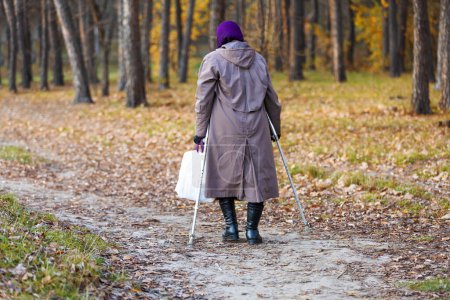 Téléchargez les photos : Une femme âgée avec un bâton marche dans le parc. Vue de dos femme âgée à l'extérieur. La vieille grand-mère marche dans la forêt. Vie des retraités en Russie. Vieillesse en automne. - en image libre de droit