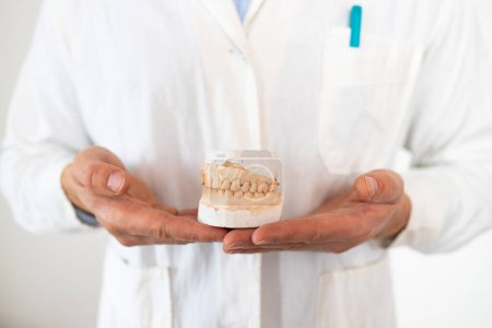 Photo for Dental technician looking at plaster cast of jaws while making denture in laboratory. Dental gypsum models in dental lab. Production of removable dentures. Prosthetic dentistry. - Royalty Free Image