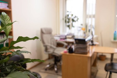 Interior de una moderna oficina con plantas verdes. Fondo borroso