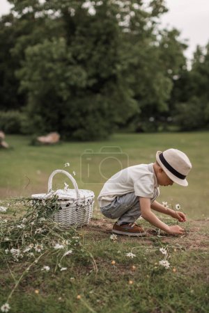 Téléchargez les photos : Beau petit garçon dans le champ de marguerite au coucher du soleil, l'été - en image libre de droit