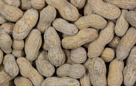 Muchos cacahuetes sin cáscara disperso plano de primer plano, alimentos, la nutrición de cultivos de leguminosas y la alergia, concepto de agricultura con espacio de copia.