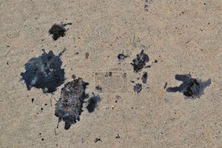 Bird berry poop stains on pavement birds dropping stain removal cleaning concept.