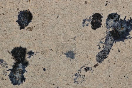 Foto de Manchas de caca de bayas de pájaro en aves de pavimento dejando caer el concepto de limpieza de manchas. - Imagen libre de derechos