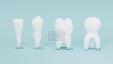 Téléchargez les photos : Types de dents dents isolées sur fond bleu. Illustration 3d. - en image libre de droit