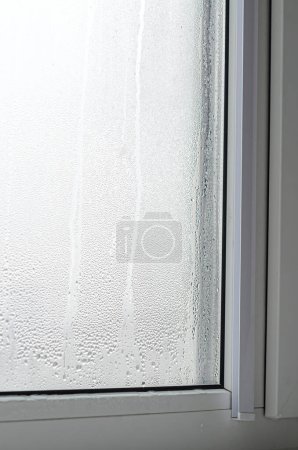 Photo for Environmental problems. Condensation on metal-plastic windows. Greenhouse effect - Royalty Free Image