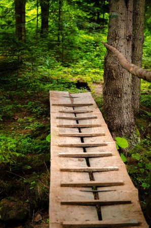 Schmale Holzbrücke über einen Gebirgsfluss im Wald