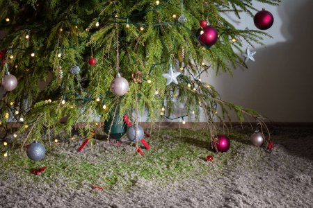 Téléchargez les photos : Arbre de Noël sec avec des pointes séchées sur tout le tapis. sapin mort et ornements laissés dans l'arbre. - en image libre de droit
