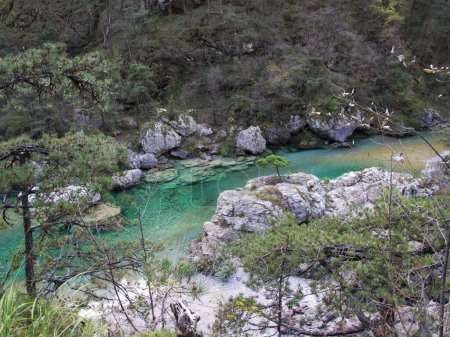 Téléchargez les photos : Les piscines d'émeraude sont l'une des attractions naturelles les plus spectaculaires du Frioul, elles sont situées à Val Tramontina (Tramonti di Sopra), l'une des sept vallées du parc naturel des Dolomites friuliennes. - en image libre de droit