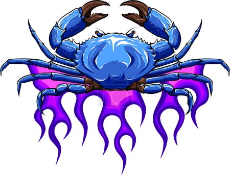 Illustration for Vector illustration of colored crab on white background. digital hand draw - Royalty Free Image