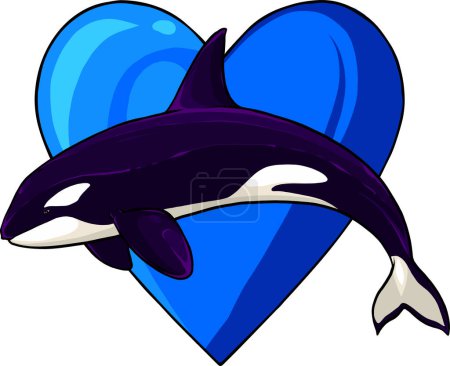 Ilustración de Orca asesino ballena salto vector ilustración - Imagen libre de derechos