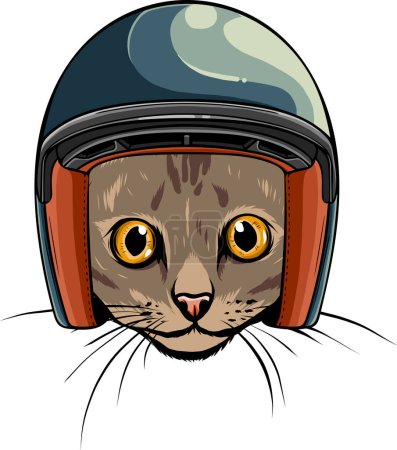 Illustration for Portrait of cat in a retro helmet. - Royalty Free Image
