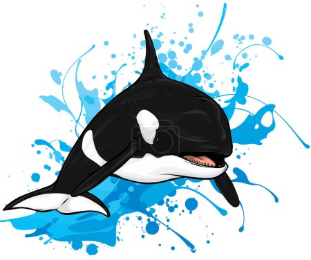 Ilustración de Ilustración vectorial de la ballena asesina saltando fuera del agua - Imagen libre de derechos