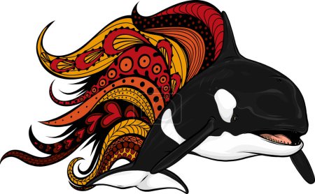 Ilustración de Ilustración del vector Killer Whale u Orca - Imagen libre de derechos