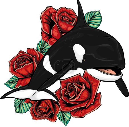 Téléchargez les illustrations : Illustration vectorielle de l'épaulard ou de l'orque - en licence libre de droit