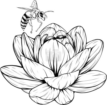 Ilustración de Una flor de agua de lirio de loto en un estilo de grabado en madera vintage - Imagen libre de derechos