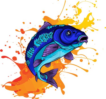 Illustration for Colored Carp fish vector illustration - Royalty Free Image