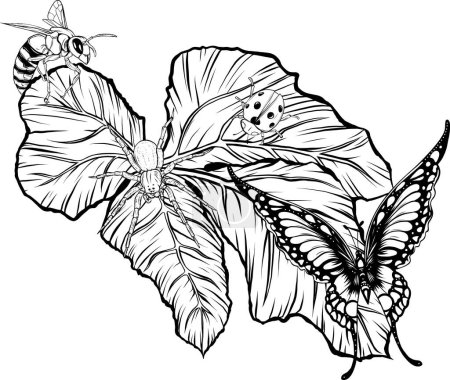 Ilustración de Hermosa mariposa en blanco y negro Esquema vector - Imagen libre de derechos