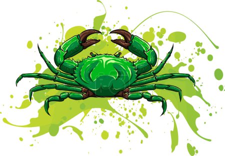 Illustration for Vector illustration of crab. digital hand draw - Royalty Free Image