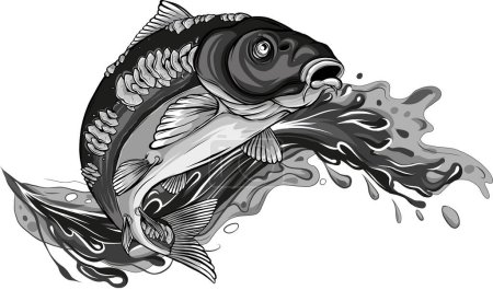 illustration of carp with splashing water