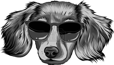 Illustration for Gordon setter dog breed with black sunglasses - Royalty Free Image